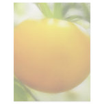Big Orange Heirloom Tomato Letterhead Design