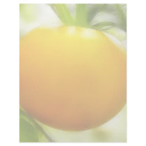 Big Orange Heirloom Tomato Letterhead Design