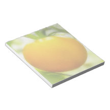 Big Orange Heirloom Tomato Memo Pads