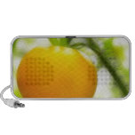 Big Orange Heirloom Tomato Laptop Speakers