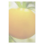 Big Orange Heirloom Tomato Stationery