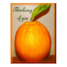 Big Orange ,Thinking of you_ Postcard