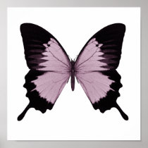 Big Pink & Black Butterfly - Personalize Print