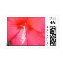 Big Pink Flower Stamp by Queen_Lydia16 Big Pink Flower Stamp