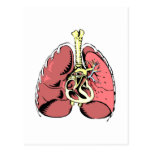 Big Pink Lungs Postcards