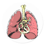 Big Pink Lungs Stickers