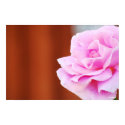 Big Pinky posters by FreemanDesigns Big Pinky posters