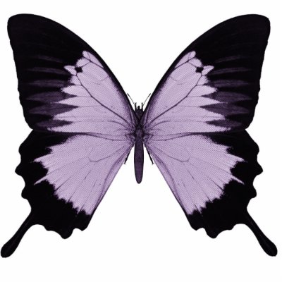 Big Purple & Black Butterfly Photo Cut Outs by VoXeeD