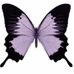 Big Purple &amp; Black Butterfly Photo Cut Outs