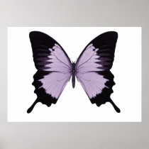 Big Purple & Black Butterfly Print
