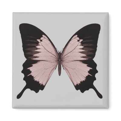 Big Red & Black Butterfly Fridge Magnets