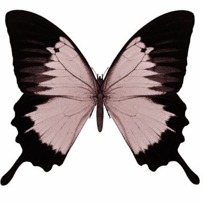 Big Red & Black Butterfly Cut Out by VoXeeD