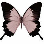 Big Red & Black Butterfly Cut Out