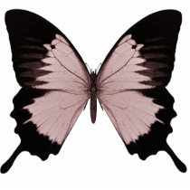 Big Red & Black Butterfly Cut Out