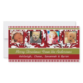 Big Red Flowers Tiny Stripes Christmas Photo photocard