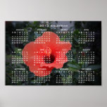 Big Red Hibiscus 2013 Calendar Poster