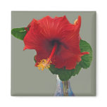 Big Red Hibiscus Fridge Magnet
