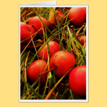 Big Red Little Apples cards