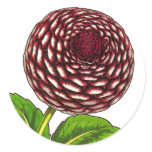 Big Red / Purple Dahlia Vintage Van Houtte Print stickers