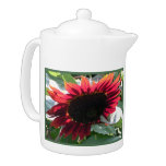 Big Red Sunflower