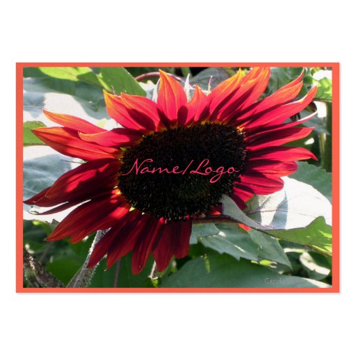 Big Red Sunflower Business Card (back side)