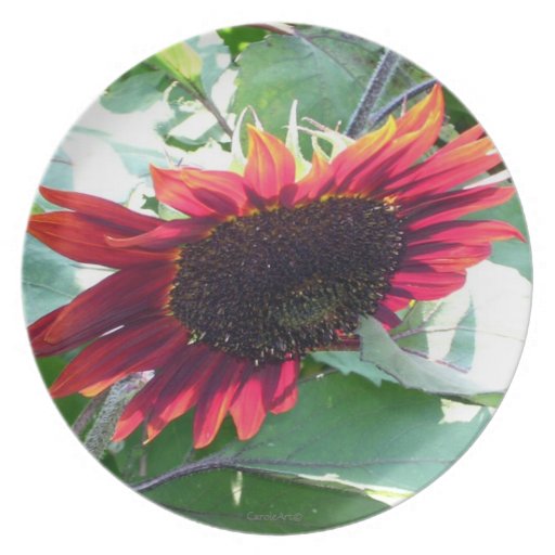 Big Red Sunflower Party Plates