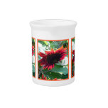 Big Red Sunflower Pitcher