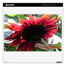 Big Red Sunflower Skin For The MacBook Air