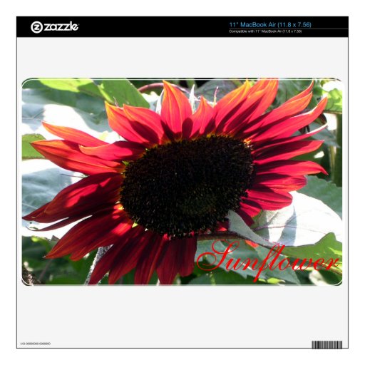 Big Red Sunflower Skin For The MacBook Air