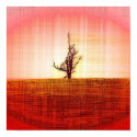 Big Red Tree posters