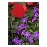 Big Red With Small Purple Greeting Card