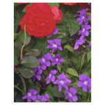 Big Red With Small Purple Flyer