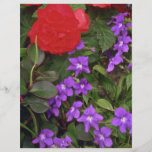 Big Red With Small Purple Flyer