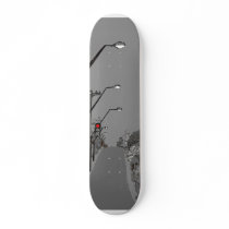 Big road skateboards by Wynity Big road skateboards