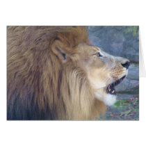 Big Roar cards