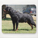 Big Rottie mousepads by denvercris Big Rottie mousepads