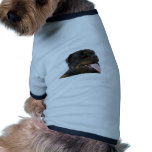 big rottweiler dog clothing