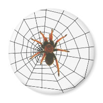 big scary spider-magnet