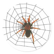 big scary spider stickers