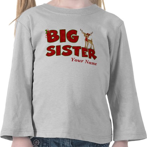 Big Sister Christmas Reindeer Tee Shirt