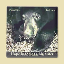Big Sister Hope Magnet magnets