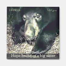 Big Sister Hope Magnet