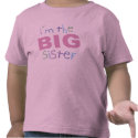 Big Sister Toddler T-Shirt