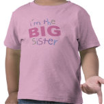 Big Sister Toddler T-Shirt t-shirts