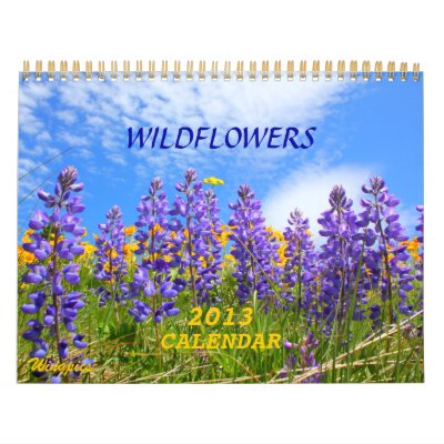 Big Sky Country Wildflowers 2013 Calendar