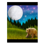 Big Sky Grizzly Postcard