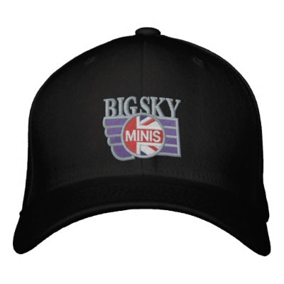 Big Sky MINIS Stretch Cap Embroidered Baseball Cap by skydrive