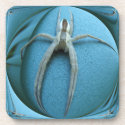 Big Spider ~ Cork Coaster cork coasters