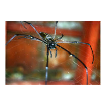 Big Spider posters