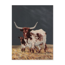 Big Spot & Little Spot Post Cards